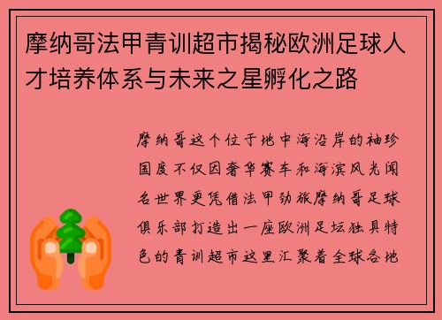 摩纳哥法甲青训超市揭秘欧洲足球人才培养体系与未来之星孵化之路